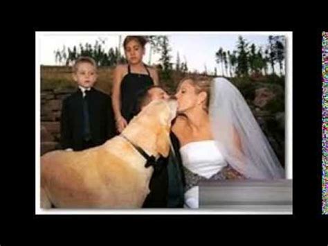 mujer folla con perro|Mis relaciones con los perros de mis novias